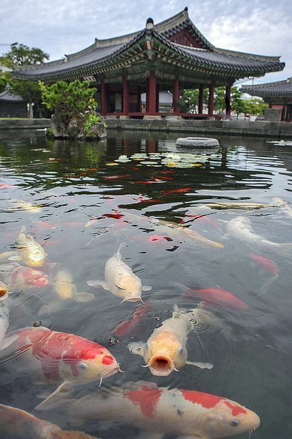 검이불루화이불치