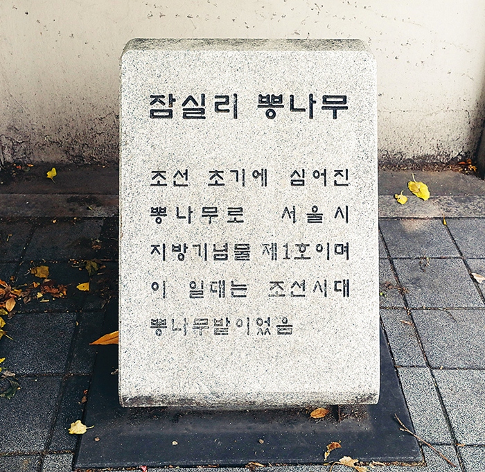 잠실-디오리진-잠실-지명유래-잠실섬-롯데월드-석촌호수-삼전도비-잠실동-송파구