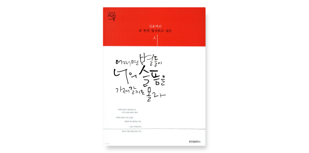 어쩌면-별들이-너의-슬픔을-가져갈지도-몰라시집김용택