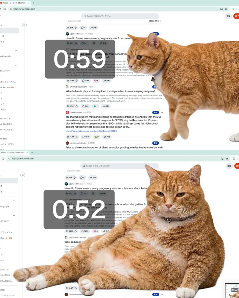 디지털 디톡스, 뚱냥이가 도와준다