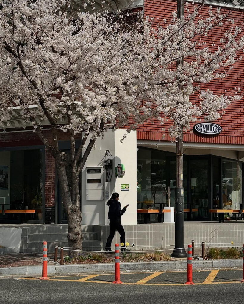 울산-현대자동차-디오리진-공업도시